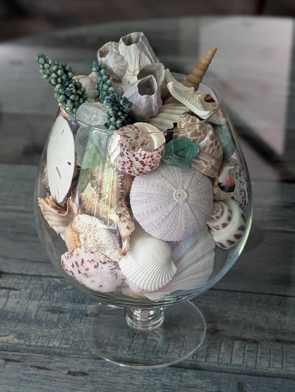 Coastal Centerpiece: Seashells, Starfish, Urchins, Barnacle & Coral Display